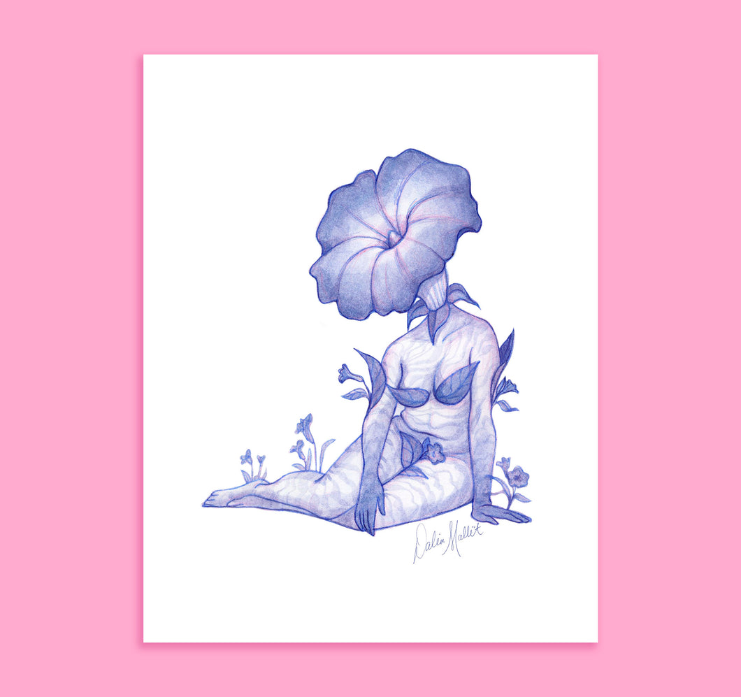 Morning Glory Art Print